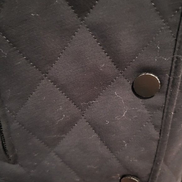 Calvin Klein - Picture 5 of 6